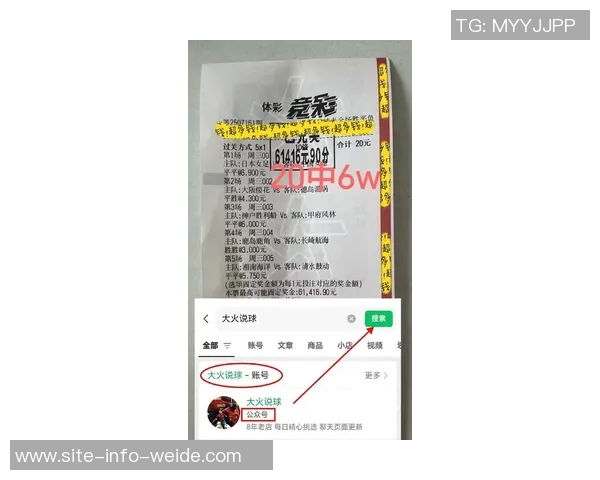 曼联小胜水晶宫全场数据分析射门与得分机会对比揭示比赛精彩瞬间 曼联小胜水晶宫全场数据分析射门与得分机会对比揭示比赛精彩瞬间